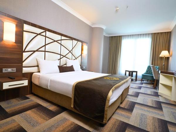 The Grand Mira Business Hotel : photo 4 de la chambre chambre double ou lits jumeaux supérieure