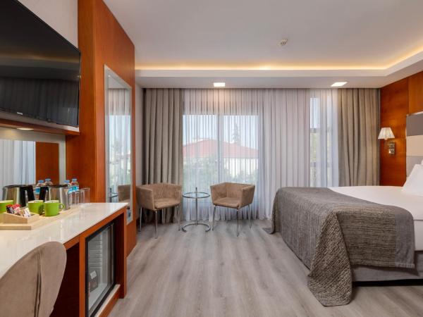 Limak Ambassadore Hotel Ankara : photo 2 de la chambre chambre double ou lits jumeaux standard