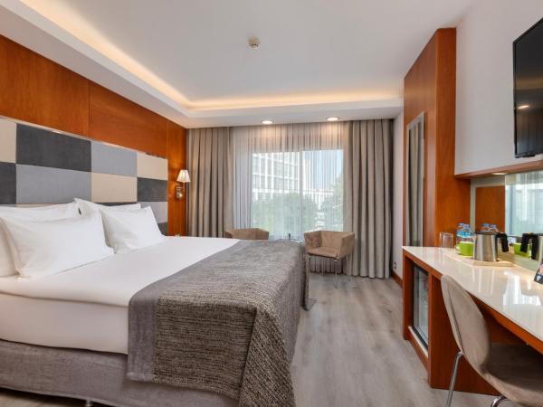 Limak Ambassadore Hotel Ankara : photo 3 de la chambre chambre double ou lits jumeaux standard