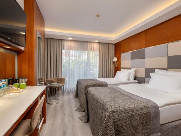 Limak Ambassadore Hotel Ankara : photo 5 de la chambre chambre double ou lits jumeaux standard