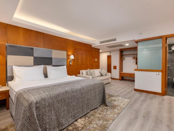 Limak Ambassadore Hotel Ankara : photo 2 de la chambre suite supérieure