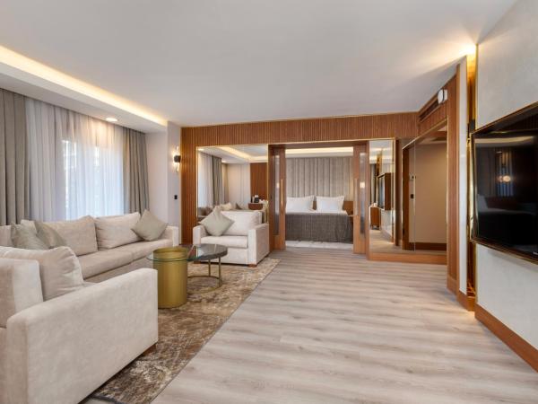 Limak Ambassadore Hotel Ankara : photo 1 de la chambre suite exécutive