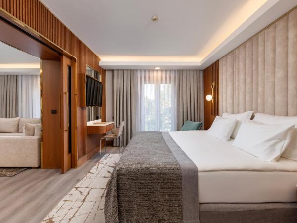 Limak Ambassadore Hotel Ankara : photo 2 de la chambre suite exécutive