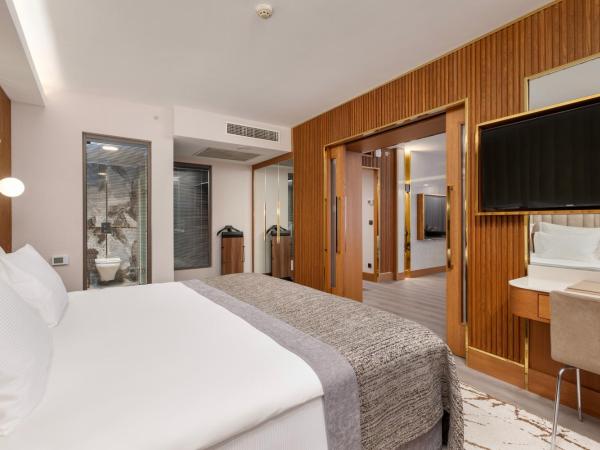 Limak Ambassadore Hotel Ankara : photo 3 de la chambre suite exécutive