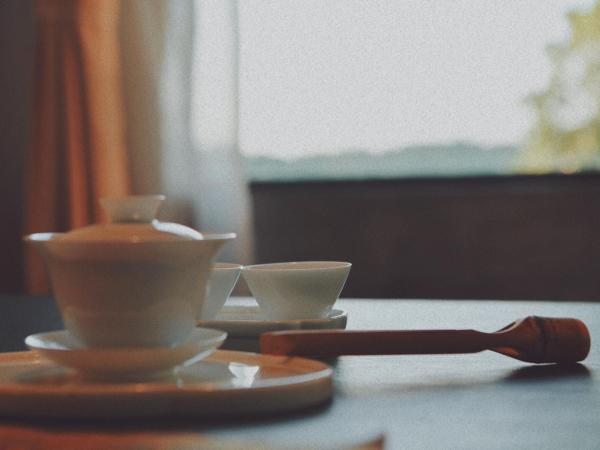 The Habitat Villa : photo 7 de la chambre suite junior – vue sur montagne