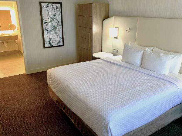 Sonesta Columbus Downtown : photo 3 de la chambre one-bedroom king - mobility accessible/roll-in shower