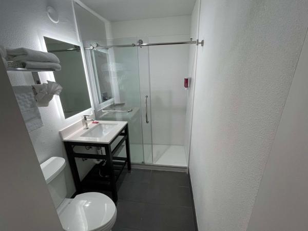 The Midtowner Hotel, SureStay Collection by Best Western : photo 2 de la chambre chambre 2 lits queen-size - non-fumeurs