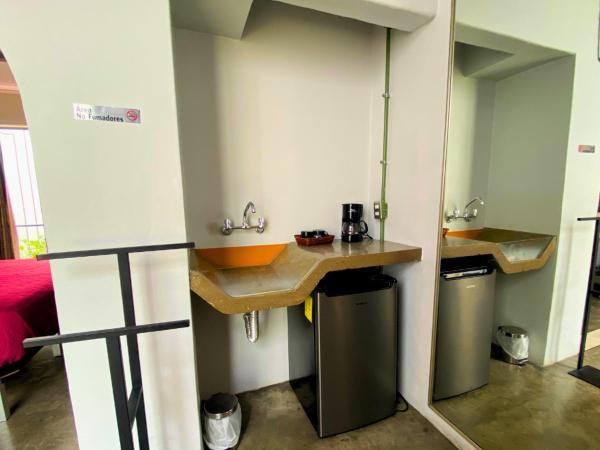 VL Hotel Boutique Consulado Chapu Guadalajara : photo 3 de la chambre chambre double standard