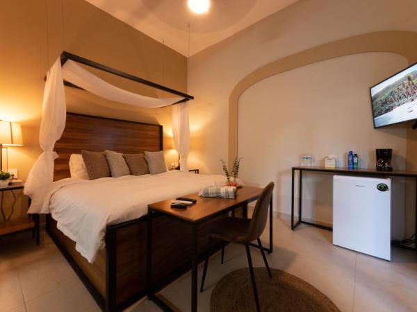 Casa Victoria Malecón - Adults Only : photo 10 de la chambre chambre deluxe