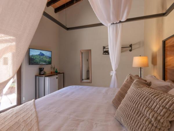 Casa Victoria Malecón - Adults Only : photo 9 de la chambre chambre lit queen-size