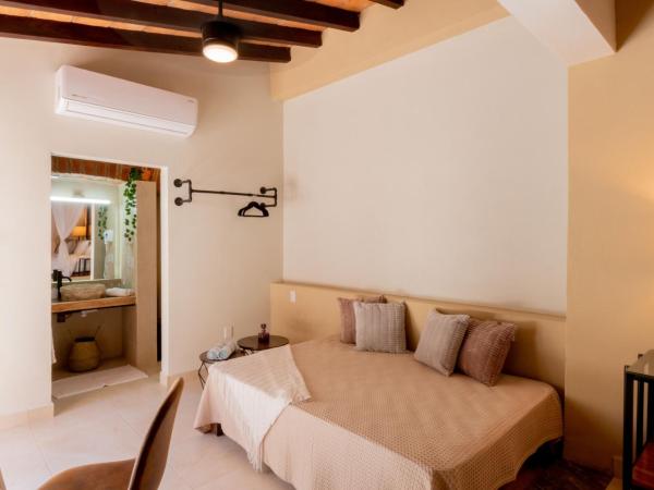 Casa Victoria Malecón - Adults Only : photo 6 de la chambre chambre lit queen-size - vue sur piscine