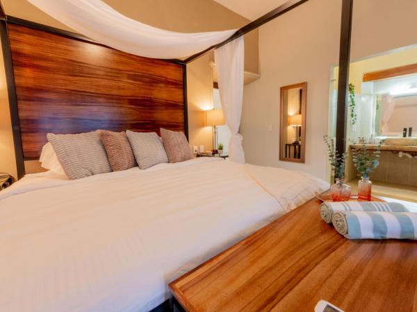 Casa Victoria Malecón - Adults Only : photo 5 de la chambre chambre lit king-size standard