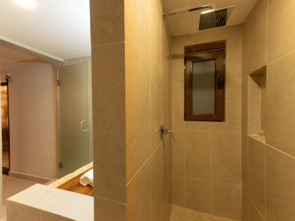 Casa Victoria Malecón - Adults Only : photo 6 de la chambre chambre double avec terrasse