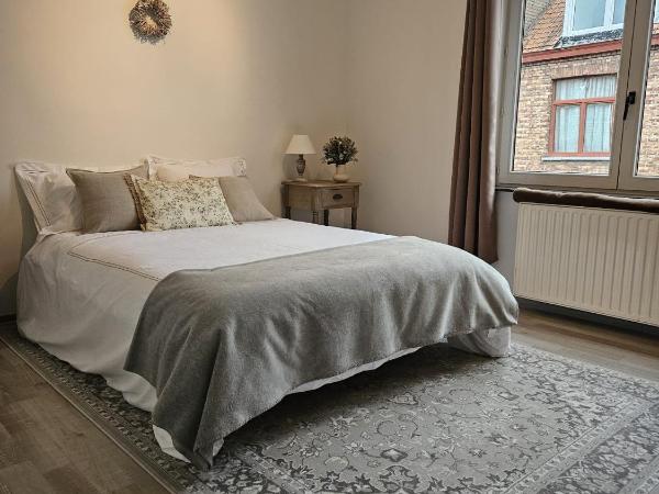 Die Scone B&B - Guestroom - Centre of Bruges in calm area : photo 3 de la chambre chambre familiale