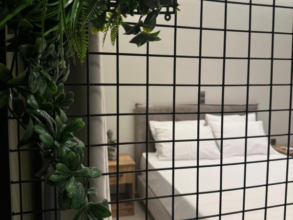 Baja Suites : photo 9 de la chambre appartement supérieur 1 chambre