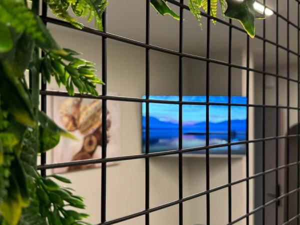 Baja Suites : photo 1 de la chambre appartement 1 chambre standard