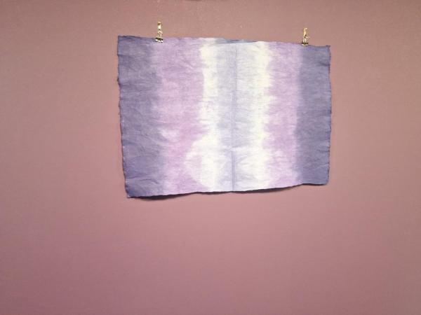 ペットも泊まれる小さなお宿虎凜Korin : photo 5 de la chambre appartement