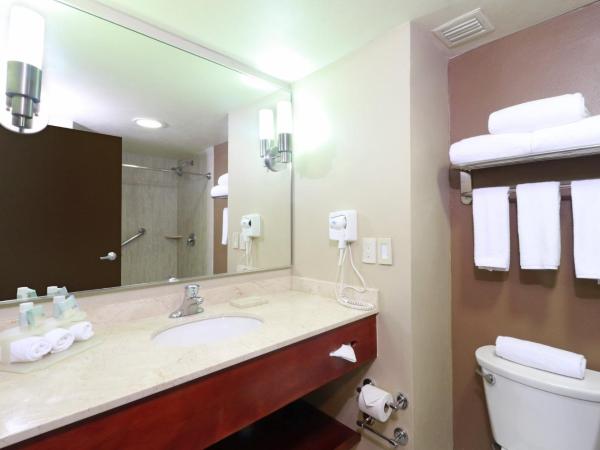 Holiday Inn Express Guadalajara Aeropuerto, an IHG Hotel : photo 10 de la chambre chambre lit king-size