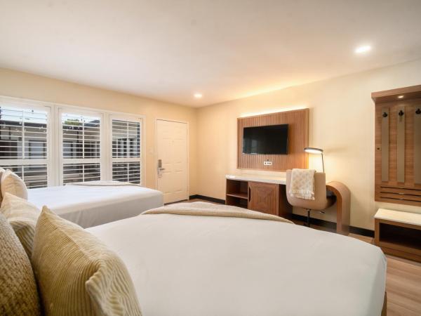 LYFE INN & SUITES by AGA - Beverly Hills : photo 2 de la chambre chambre double deluxe avec lit d'appoint