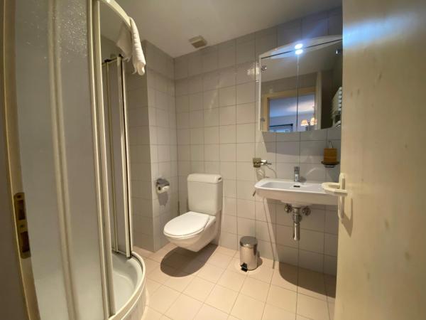 Kursaal Arosa - adults only : photo 8 de la chambre double room with private bathroom (102)