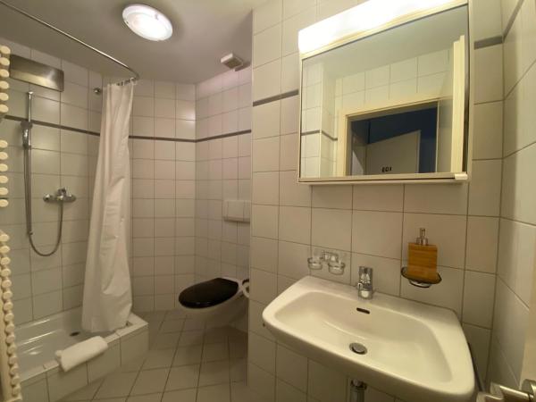 Kursaal Arosa - adults only : photo 4 de la chambre double room with private bathroom (103)