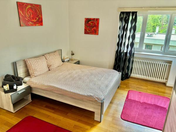 Rue Des Glacis Limpertsberg : photo 2 de la chambre chambre double avec salle de bains commune