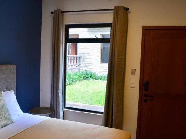 Casa Palmas : photo 6 de la chambre studio lit queen-size 