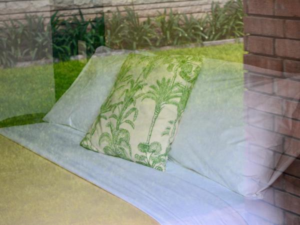 Casa Palmas : photo 4 de la chambre studio lit queen-size 