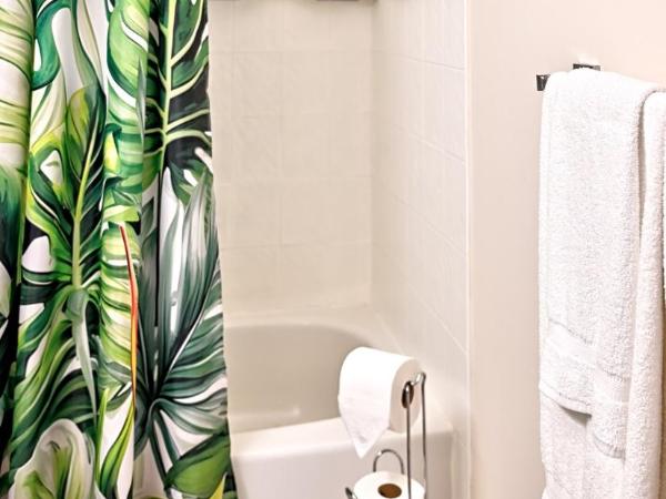 Welcome Home! Acores Bed & Breakfast : photo 6 de la chambre chambre lit king-size supérieure