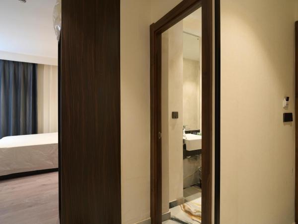 Menoir Dorsett Madrid Usera : photo 9 de la chambre chambre double avec salle de bains privative