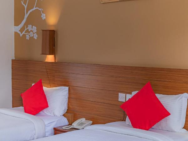 Basundhara Resort Pokhara : photo 2 de la chambre chambre lits jumeaux deluxe