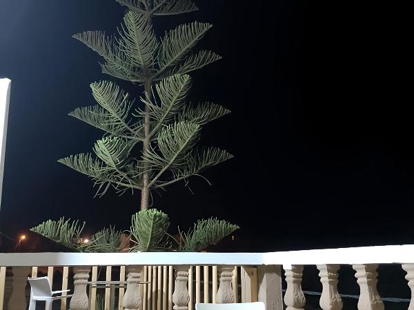 Tildi surf house : photo 4 de la chambre chambre double avec balcon