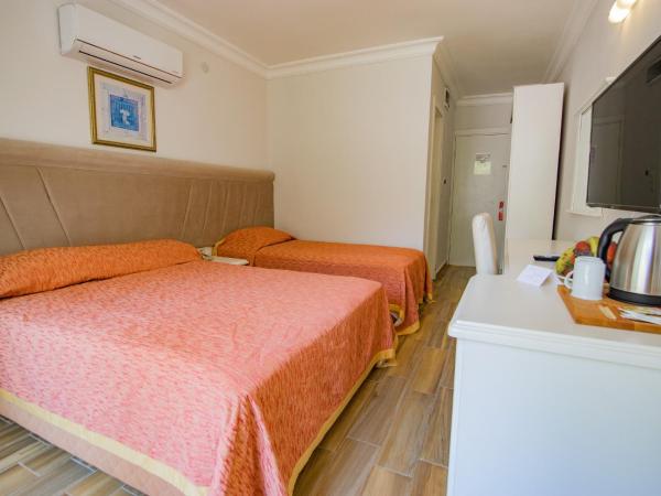 Icmeler Beach Hotel All Inclusive 14 Age Plus : photo 4 de la chambre chambre triple standard - vue sur mer