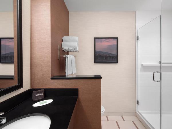 Fairfield Inn & Suites by Marriott Orlando Kissimmee/Celebration : photo 1 de la chambre chambre lit king-size