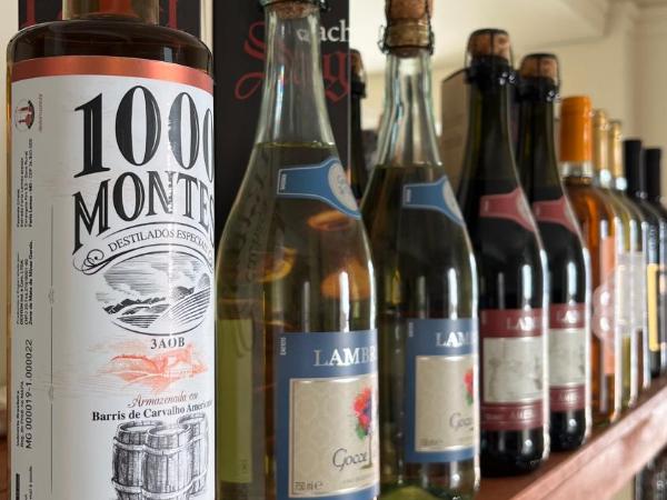 Nuhh Hostel : photo 8 de la chambre dortoir pour femmes