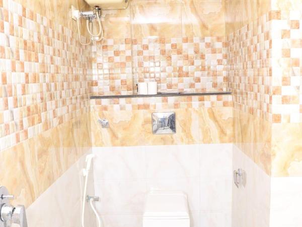 Hotel Silver Inn : photo 4 de la chambre chambre double deluxe