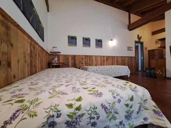 Corte San Mattia : photo 6 de la chambre appartement 1 chambre