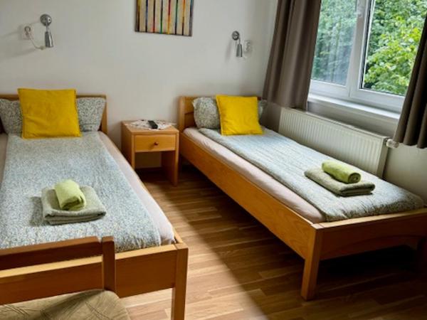Penzion Kozí Horka u Brněnské přehrady : photo 4 de la chambre chambre double ou lits jumeaux standard - vue sur jardin