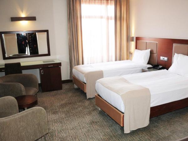 HİTİT OTEL : photo 4 de la chambre chambre lits jumeaux standard