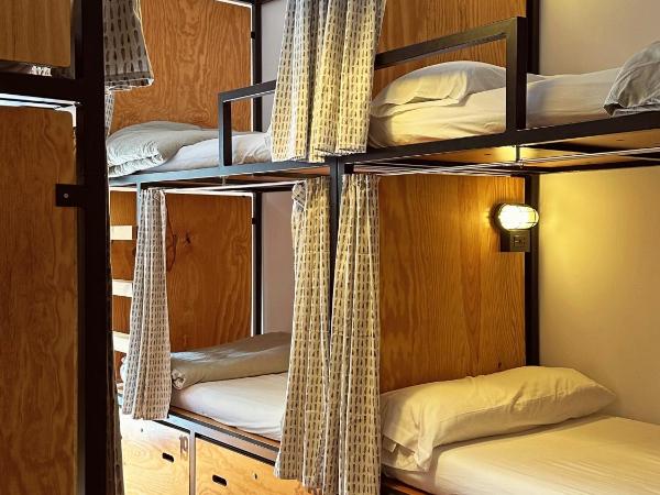 Surfing Etxea - Surf Hostel : photo 5 de la chambre lit dans dortoir de 8 lits 