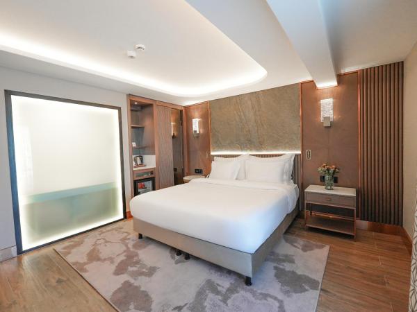 Boreas Hotel, Trademark Collection by Wyndham : photo 2 de la chambre chambre supérieure