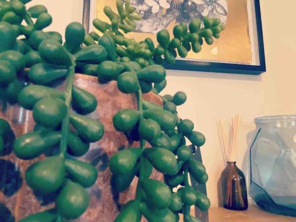 Studio 47B : photo 3 de la chambre studio