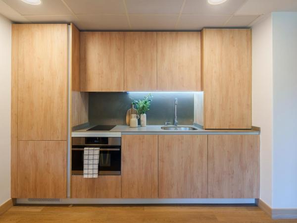 Bilbao Apartamentos Atxuri : photo 7 de la chambre appartement 1 chambre premium