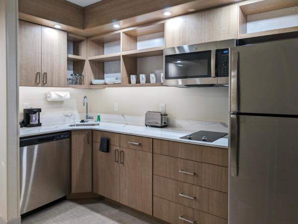 Homewood Suites by Hilton Oklahoma City Airport : photo 2 de la chambre studio lit king-size avec baignoire accessible aux personnes à mobilité réduite