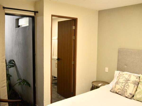Casa Palmas : photo 6 de la chambre appartement - rez-de-chaussée