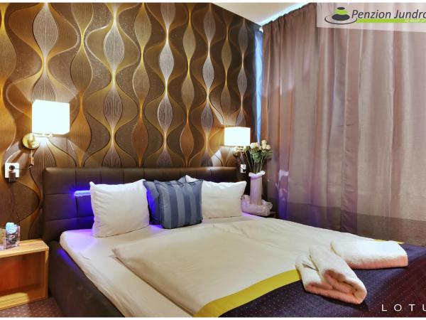 Penzion Vanessa : photo 3 de la chambre chambre de luxe double ou lits jumeaux avec baignoire spa