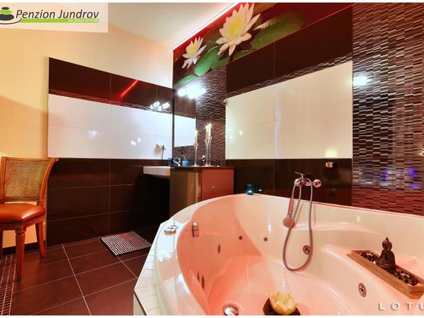 Penzion Vanessa : photo 4 de la chambre chambre de luxe double ou lits jumeaux avec baignoire spa