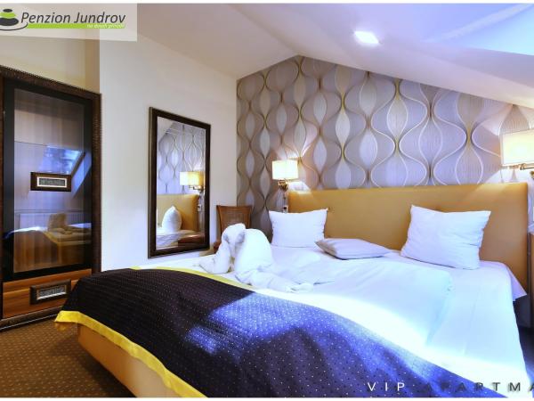 Penzion Vanessa : photo 1 de la chambre chambre de luxe double ou lits jumeaux avec baignoire spa