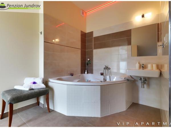 Penzion Vanessa : photo 4 de la chambre chambre de luxe double ou lits jumeaux avec baignoire spa