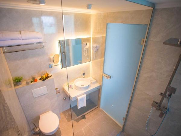 Royaluxs Hotel Plaza : photo 4 de la chambre suite avec piscine privée